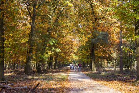 HOGE VELUWE, THE NETHERLANDS - OKTOBER 14, 2018: Cycling tourists in national park De hoge veluwe in the Netherlands in autumnのeditorial素材