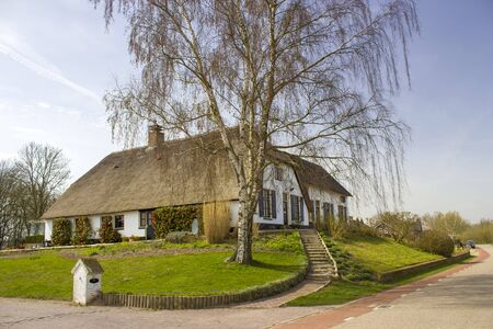 Typical dutch house with straw roof, with green garden. Country house, Gelderland, Netherlandsの写真素材