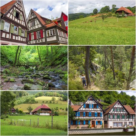 collage with pictures with Black Forest in Germanyの写真素材