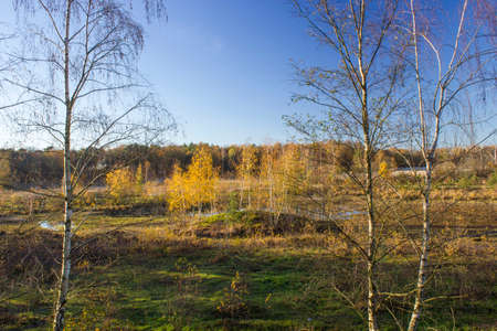 Landscape in the National Park Maasduinen in the Netherlandsの写真素材