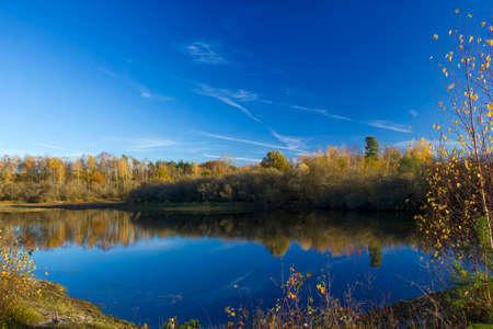 Landscape in the National Park Maasduinen in the Netherlands