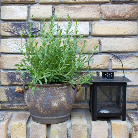 lavender flowers and lamp - brick wall backgroundの写真素材