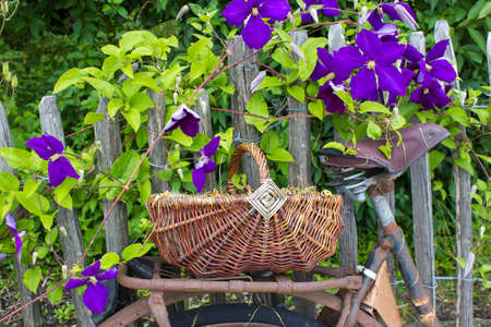 old vintage bicycle with basket on a wooden fenceの写真素材