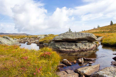 A clear mountain stream on the green meadows in the Austrian Alps, Steiermark, Austriaの写真素材