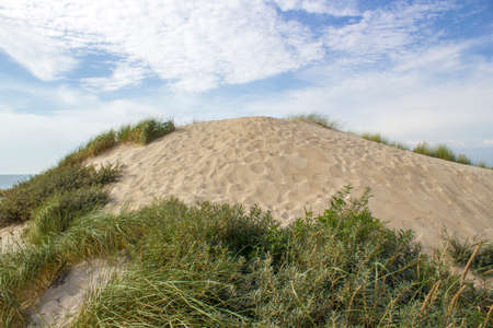 the dunes, Haamstede, Zeeland in the Netherlands