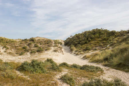 the dunes, Haamstede, Zeeland in the Netherlandsの写真素材