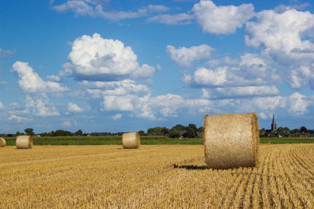 hay bales - summer landscape in Germany