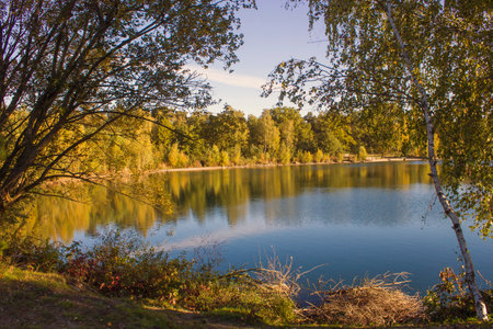 Landscape in National Park Maasduinen in the Netherlands - autumnの写真素材