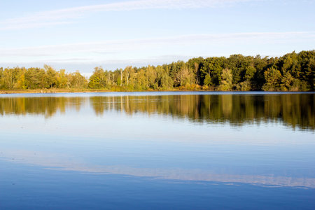 Landscape in National Park Maasduinen in the Netherlands - autumnの写真素材