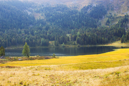 Landscape in Austrian Alps, Styria, Austriaの写真素材