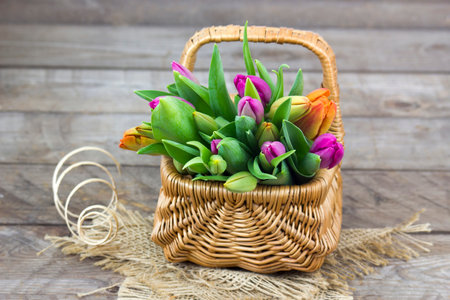 Colorful fresh tulips in wicker basket - wooden backgroundの写真素材
