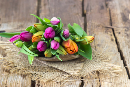 colorful tulips on wooden background - close upの写真素材