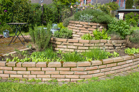 herb spiral in the garden with fresh herbsの写真素材