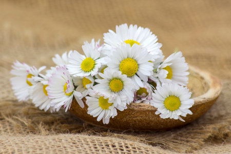 daisies on wooden background - close upの写真素材