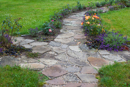 stone paved garden path and flowers - roses and lavenderの写真素材