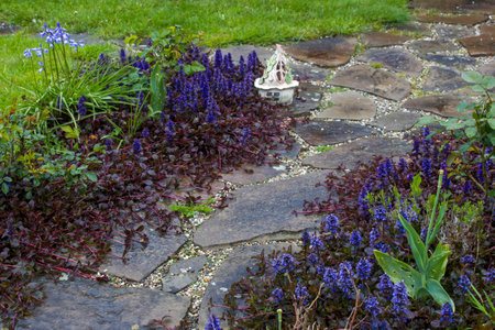 stone paved garden path and flowers - springtimeの写真素材