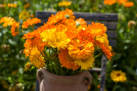 Beautiful fresh summer flowers in a vase on chairの写真素材