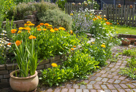 herb spiral in the garden with fresh herbs and flowersの写真素材
