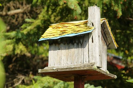 Old wood plank bird house contrasted by the trees; abandoned, aged,used or empty concept, copy...