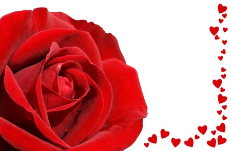 Beautiful red rose on black background with the word love and a heart in red, perfect valentine's day card, anniversary or otherの写真素材