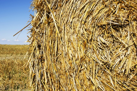 Great close-upl of large round hay or straw bale with lots of details and texture.の写真素材