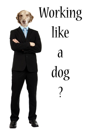 Funny composite of the body of a young man in business suit with arms crossed with the head of a brown spotted dog with text Working like a dog.の写真素材