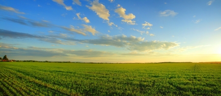 Magnificent panorama of  a sunrise over a newly planted cereal field- beautiful nature, dramatic HDR rendering.の写真素材