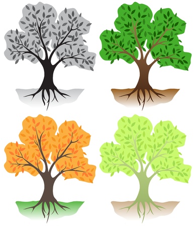 Deciduous trees in different colorsのイラスト素材
