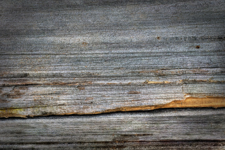 Old grey wood plank background, hdr renderingの写真素材