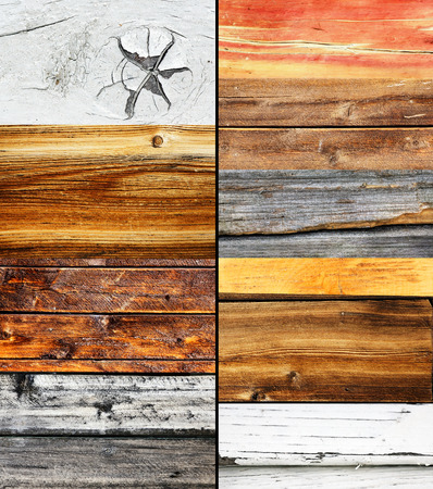 Wood collage, different colors and texture, nature backgroundの写真素材