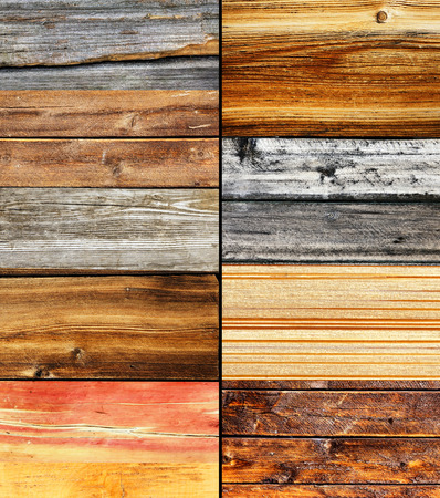 Wood collage, different colors and texture, nature backgroundの写真素材