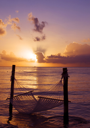 Hammock over water at sunset verticalの写真素材