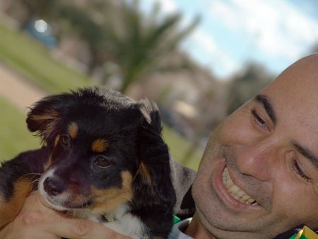 Close up of a man holding a small dogの写真素材