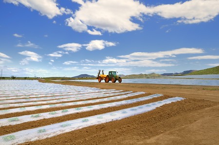 A tractor with spray equipment crossing fields of crops covered with polythene cloches.の写真素材
