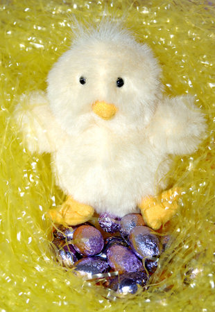 Nesting chick toy