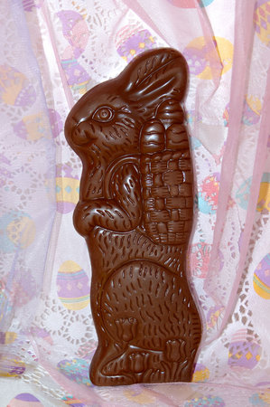 Chocolate Easter Bunnyの写真素材