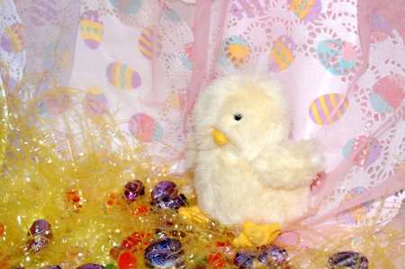 Toy chick with candies