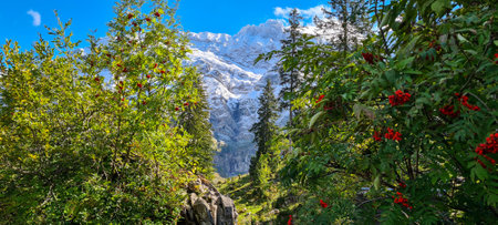 Scenic view of the snow-capped peaks of the Annapurna Conservation Area in Nepal