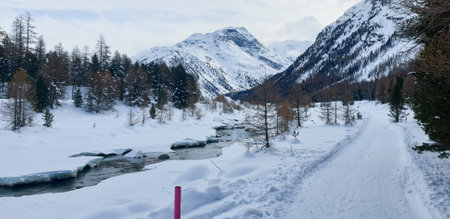 Winter in the Swiss alps (Braunwald, Glarus, Switzerland)
