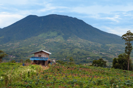 Mount Singgalang. Singgalang is a volcano reaches a height of 2.877 meters. Bukittinggi. Sumatra island. Indonesia.のeditorial素材