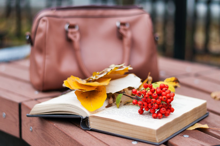 Open book with ashberry on the bench in autumnの写真素材
