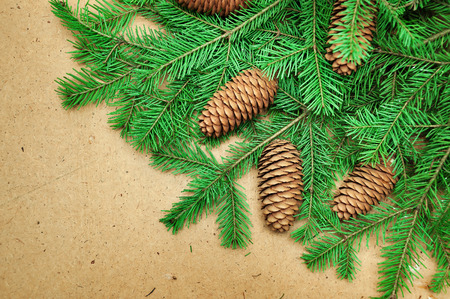 Coniferous branches and cones on wooden background. For Christmas