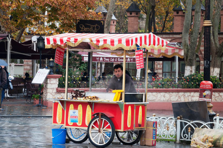 ISTANBUL, TURKEY, DEC 4, 2014: Street vendor with a colorful cart selling fresh sweet corn on the streetのeditorial素材
