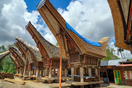 Tongkonan traditional rice barns and house in Palava village. Tana Toraja, Sulawesi. Indonesiaのeditorial素材