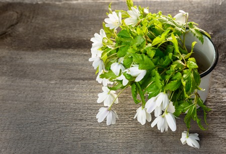 Bouquet of flowers  snowdrop Anemone in iron cup on wooden backgroundの写真素材