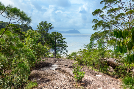 Telok padan kecil Cliff in Bako National Park. Sarawak. Borneo. Malaysiaの写真素材