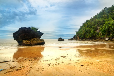 Tropical beach Telok Paku. Bako National Park. Sarawak. Borneo. Malaysiaの写真素材