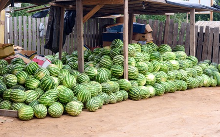 Watermelon for sale at market stall on the streetの写真素材