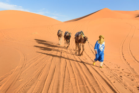 Merzouga, Morocco - Jan 6, 2017: Berber man leading camel caravan in Erg Chebbi Sand dunes in Sahara Desertのeditorial素材