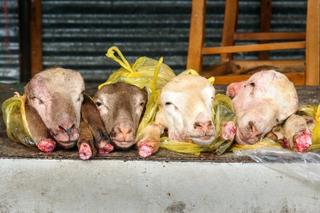 Sheep heads and legs for sale at the Local town market in Sheki, Azerbaijanの写真素材